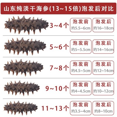 山东正宗纯淡干海参干货批发高品质500g水产品海鲜商用家用海参 1盒图4