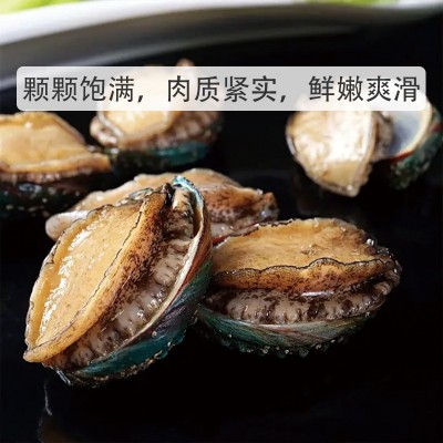 【新鲜即食鲍鱼】鲜活海参海鲜水产批发加热即食高端拌饭汁捞面 1斤图2