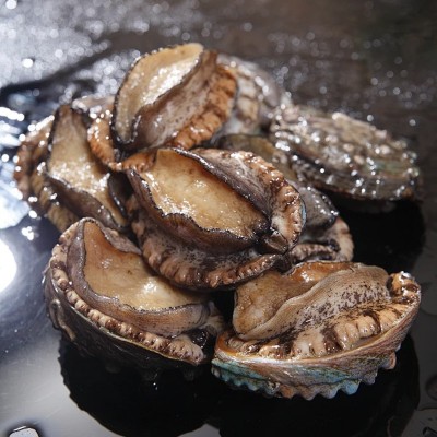 【新鲜即食鲍鱼】鲜活海参海鲜水产批发加热即食高端拌饭汁捞面 1斤图4