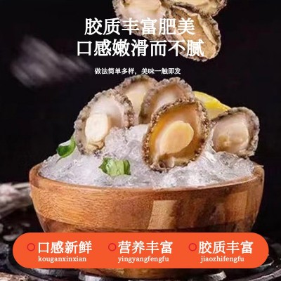 鲜冷冻鲍鱼去壳海鲜水产纯肉鲍鱼酒店宴席商用佛跳墙食材厂家批发 1斤图3