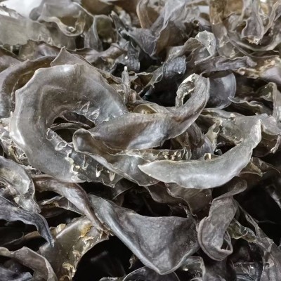 25-100甲鱼裙边头海味干货工厂批发水鱼裙边酒店食材王八鱼鳖裙边 1包