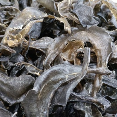 25-100甲鱼裙边头海味干货工厂批发水鱼裙边酒店食材王八鱼鳖裙边 1包图4