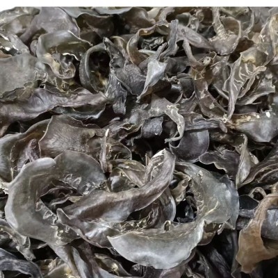 25-100甲鱼裙边头海味干货工厂批发水鱼裙边酒店食材王八鱼鳖裙边 1包图5