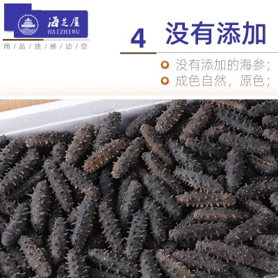 国标三级/50-60头//斤海参源头工厂加工批发底播辽参天然野生 1件图3