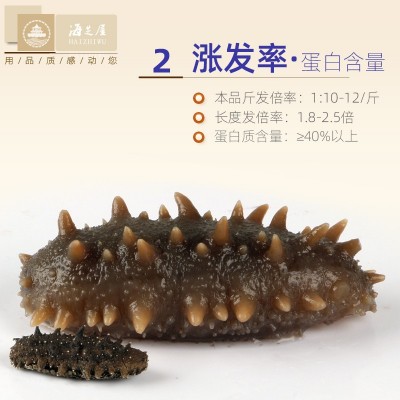 国标三级/70-80头/斤海参源头工厂加工批发50g底播辽参滋补 1件图4