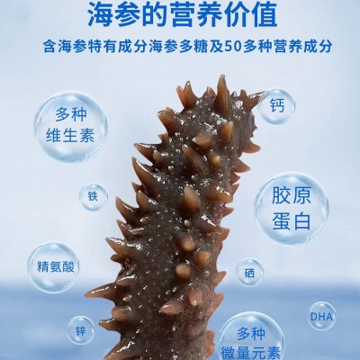 厂家批发代发FD冻干海参干海参冷水泡发直播代发 100件图4