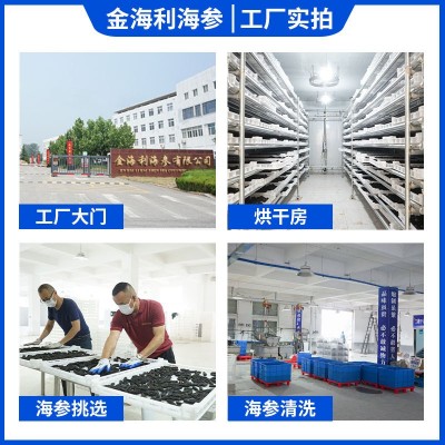 工厂直营现货淡干海参10倍涨发海鲜干货深海辽刺参大火冻干海参 50盒图3