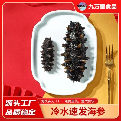厂家直发冻干海参速发海参免煮冷水速发辽参干货50g冻干海参批发 2盒图3