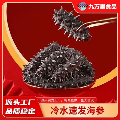 厂家直发冻干海参速发海参免煮冷水速发辽参干货50g冻干海参批发 2盒图5