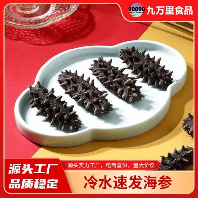 厂家直发冻干海参速发海参免煮冷水速发辽参干货50g冻干海参批发 2盒图2