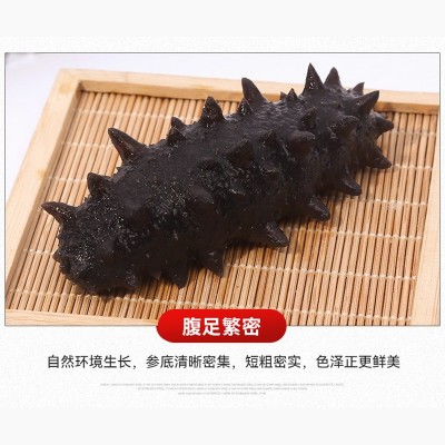 即食海参大连辽参刺参鲜参非干货冷冻即食海参500g即食海参厂家 10盒图2