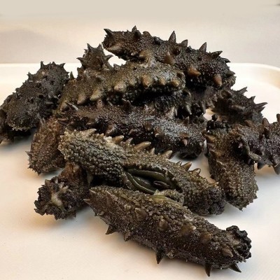 源头工厂现货批发大连海参干货批发拉缸盐海参顶火高刺海参批发 1件图2