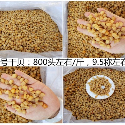 广西北海 干贝瑶柱批发淡干200头350头400头生晒海鲜干货500g煲粥  1件图4
