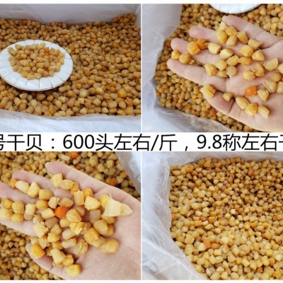 广西北海 干贝瑶柱批发淡干200头350头400头生晒海鲜干货500g煲粥  1件图3