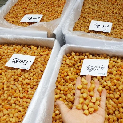 广西北海 干贝瑶柱批发淡干200头350头400头生晒海鲜干货500g煲粥  1件图5