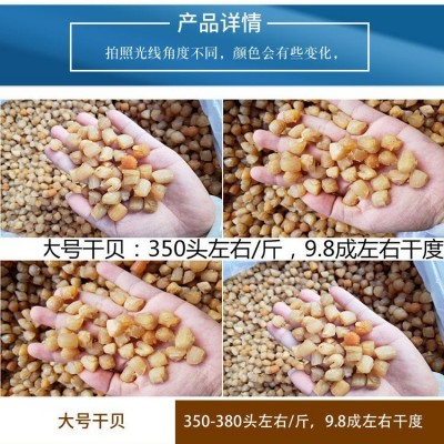 广西北海 干贝瑶柱批发淡干200头350头400头生晒海鲜干货500g煲粥  1件图2