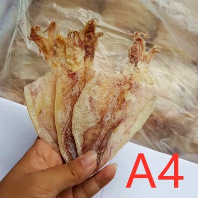 批发北海烧烤鱿鱼干货KTV酒吧手撕芥末干尤A2/A3巴掌干鱿鱼片500g 1件图2