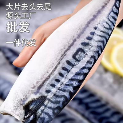 新鲜挪威进口青花鱼片大片半成品日式盐烤青花鱼冷冻鲭鱼去头去尾 4件图2