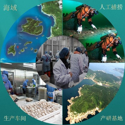 批发大乌参冷冻即食海参酒店食材海鲜水产半成品大连海参海茄子参 2盒图5