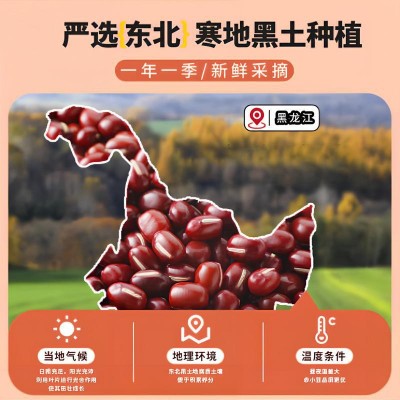 东北红赤小豆新货长粒东北农家自产赤小豆杂粮薏仁茶泡水煮粥 1件图3