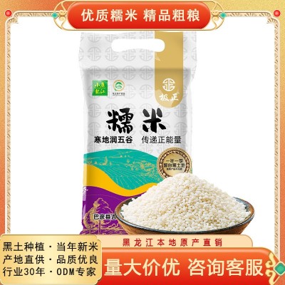 东北黑土地糯米新米东北圆粒糯米杂粮新鲜香糯饱满江米糯米2.5kg 1件图2
