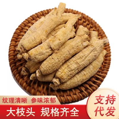 西洋参段花旗参枝头短枝长条长白山人参整枝大条西洋参腿产地批发 1半斤