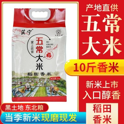 23年东北大米5kg稻田香米新米黑龙江大米10斤五常大米东北长粒香 2袋