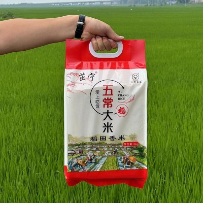 23年东北大米5kg稻田香米新米黑龙江大米10斤五常大米东北长粒香 2袋图2