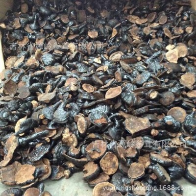 源头批发黑灵芝长白山紫灵芝半灵芝东北特产整朵500克左右 1斤图3