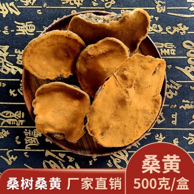 东北特产长白山 桑树桑黄 500克/份 免费切片 西藏桑黄天然 1斤