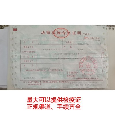 东北鹿茸片长白山鹿茸红粉片腊片泡酒料中药材鹿茸片 1袋图3