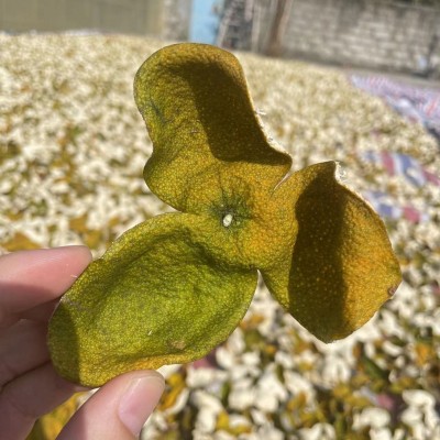 新会陈皮新皮大红皮二红皮 新会柑皮广东陈皮 实力源头工厂批发 1份图3