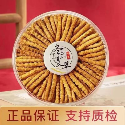 冬虫夏草野生西藏那曲高品质虫草批发新鲜头期虫草干货优质无断草 10克图3