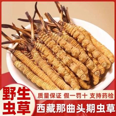 冬虫夏草野生西藏那曲高品质虫草批发新鲜头期虫草干货优质无断草 10克图2