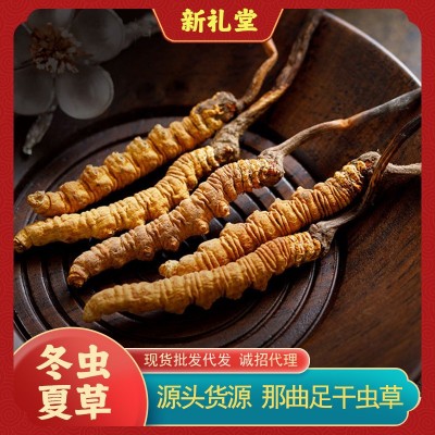 西藏那曲冬虫夏草足干头茬蛹虫草礼盒装现货批发传统滋补送礼 1g
