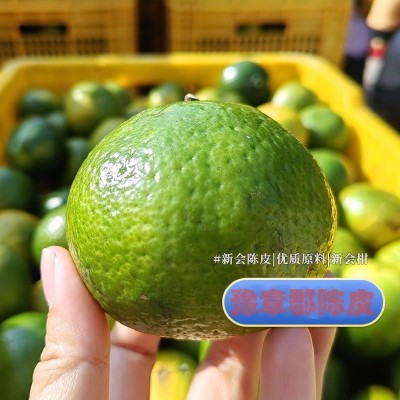 2024年新皮南坦产区新会青皮陈皮青皮新会陈皮源头工厂批发 1袋图2