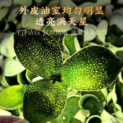 正宗新会陈皮青皮大红二红皮天然生晒经久耐泡陈皮干新皮厂家直销 1件图4