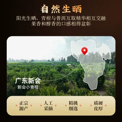 新会小青柑普洱茶生晒头采柑普茶云南宫廷熟茶叶散装自用厂家直销 1件图4