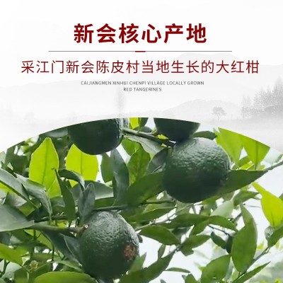 新会特产陈皮厂家批发正宗老陈皮干5年10年15年泡茶大红皮青皮 1斤图2