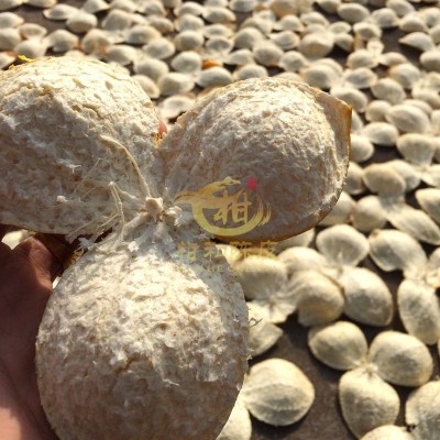 新会厂家批发陈皮丝泡茶桔子皮橘子皮陈皮桔皮橘皮一斤包邮 1斤图3