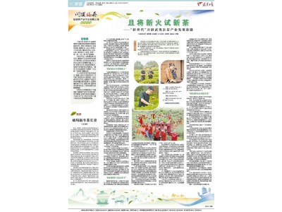 深读丨“新世代”武夷岩茶怎样发展？且将新火试新茶