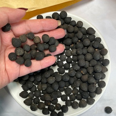 特产柑胎仔BB果小柑胎2022新茶 批发柑胎（新会） 小青柑陈皮果干 1斤图2