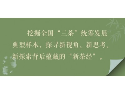 新茶经丨乡村振兴中的“茶力量”