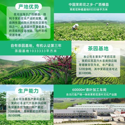 茉莉花茶2024新茶茶叶茉莉曲螺横县茉莉花茶叶浓香罐装花茶500g 2斤图3