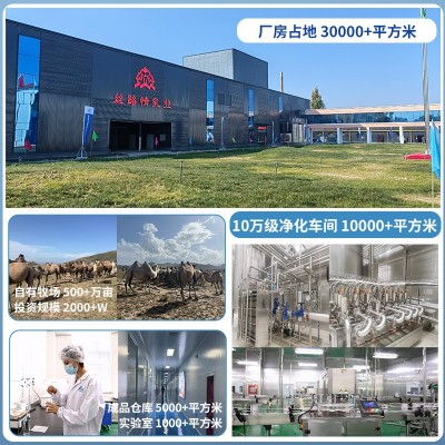 食尚丝路新疆骆驼乳粉70%驼奶粉批发代理益生菌纯骆驼奶粉厂家 1罐图4