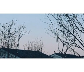 大理旅居 | 规律生活是最好的保养品