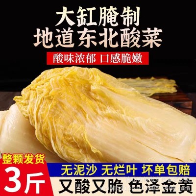 酸菜东北产农家大缸酸菜乳酸大白菜酸菜丝商用批发 1个