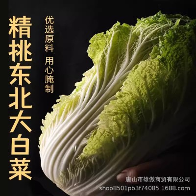一世源东北酸菜芯5斤整颗酸菜黄芯大白菜大缸腌足酸菜酸白菜整颗 5个图5