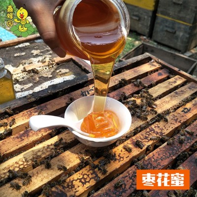 鑫蜂园实力源头蜂场农家自产当季休闲食品药厂用25公斤装洋槐蜜 1千克