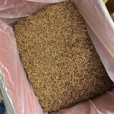 云南蜜香金丝滇红茶散装蜜香金芽批发2025年头春细红茶叶 市场厂家 1斤图4